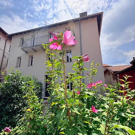 Olcium * Mandello del Lario